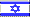 Israel Flag